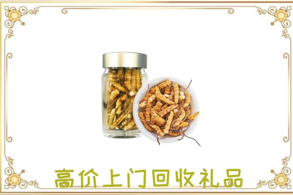 张家界市周边回收虫草